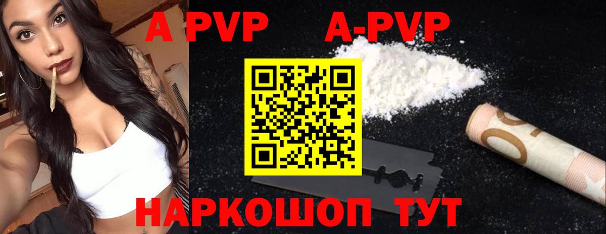 A PVP крисы CK Рубцовск