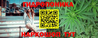 MDMA Новодвинск