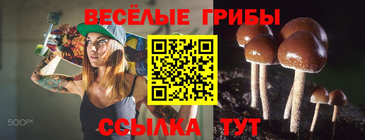 Псилоцибиновые грибы прущие грибы  Вход с VPN  хочу наркоту  Рубцовск 